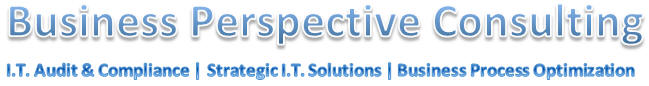 Welcome to Business Perspective Consulting ... Creating the future.